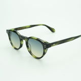 Benjamin [moss tortoise]