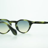 Benjamin [moss tortoise]