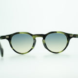 Benjamin [moss tortoise]
