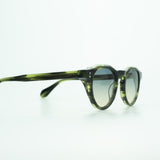 Benjamin [moss tortoise]